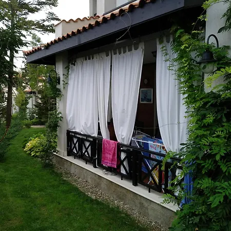 Oasis & 2, Lozenets