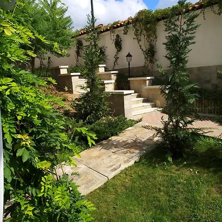 Oasis & 2, Lozenets