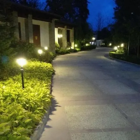 Oasis & 2, Лозенец