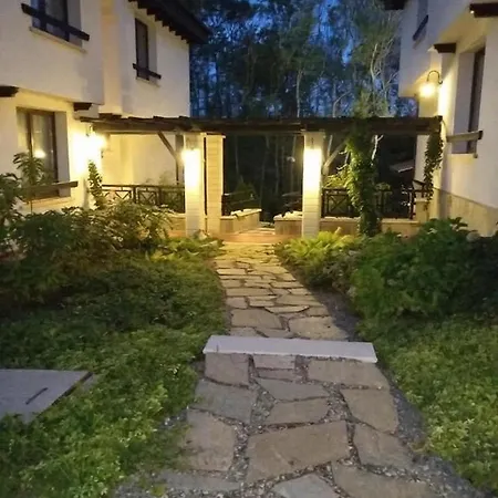Oasis & 2,