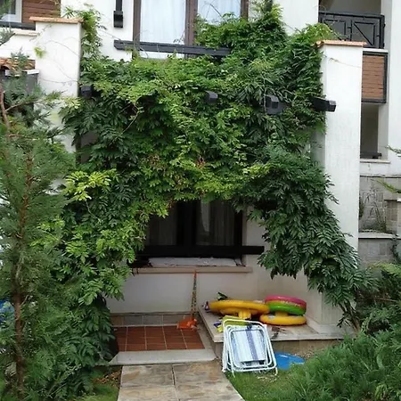 Oasis & 2, *